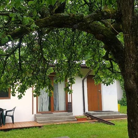 Villa Letnisko Wiolinkowo Sarnaki Exterior foto
