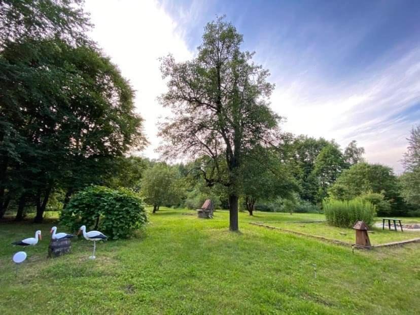 Villa Letnisko Wiolinkowo Sarnaki Exterior foto